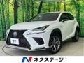 2019 Lexus NX
