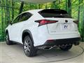 2019 Lexus NX