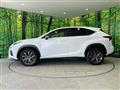 2019 Lexus NX
