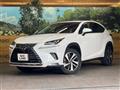 2019 Lexus NX