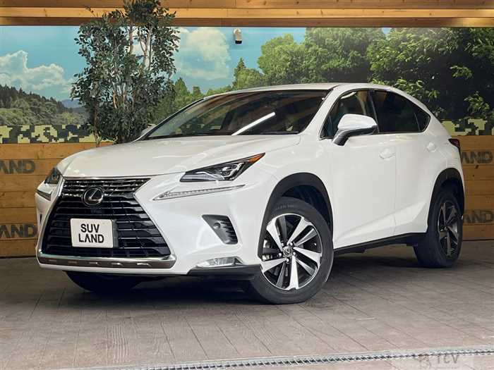 2019 Lexus NX