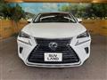 2019 Lexus NX