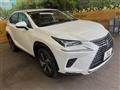 2019 Lexus NX
