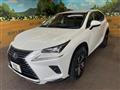 2019 Lexus NX