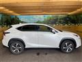 2019 Lexus NX