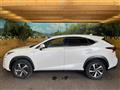 2019 Lexus NX