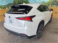 2019 Lexus NX