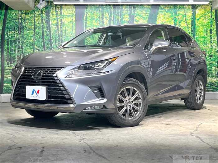 2019 Lexus NX