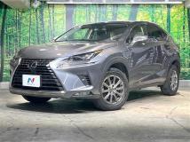 2019 Lexus NX