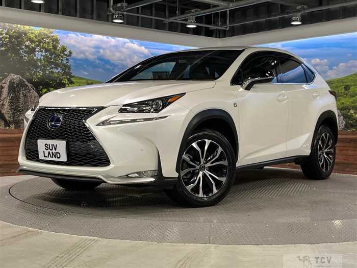 2014 Lexus NX