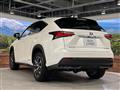 2014 Lexus NX