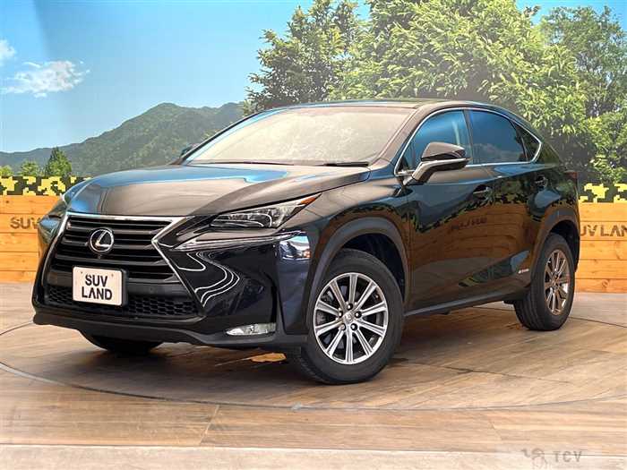 2014 Lexus NX