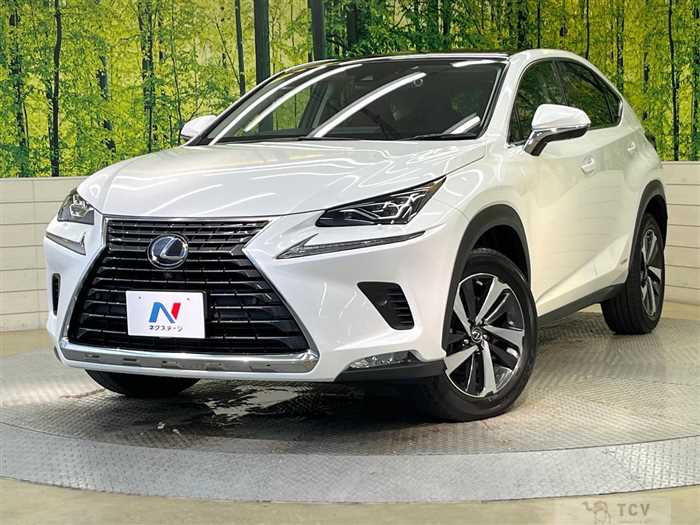 2019 Lexus NX
