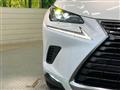 2019 Lexus NX