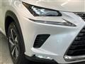 2019 Lexus NX