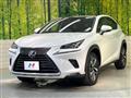 2019 Lexus NX
