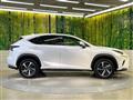 2019 Lexus NX