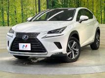 2019 Lexus NX
