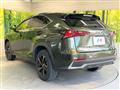 2021 Lexus NX