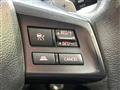 2013 Subaru Subaru Others
