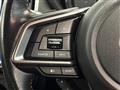 2017 Subaru Subaru Others