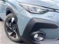 2023 Subaru Subaru Others