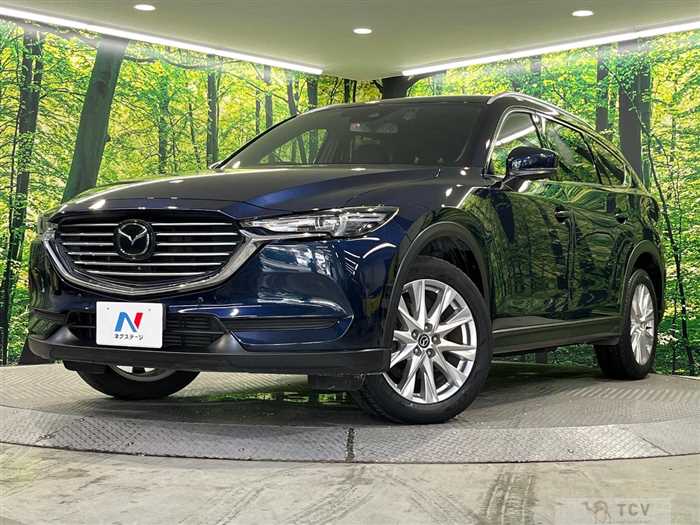 2018 Mazda CX-8