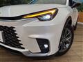 2024 Lexus Other