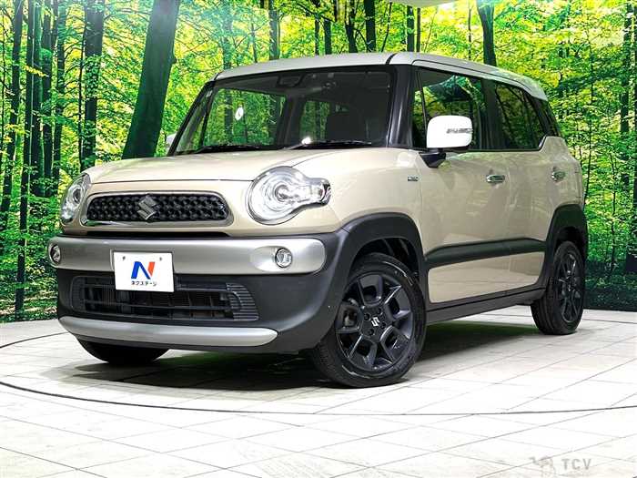 2018 Suzuki Suzuki Others