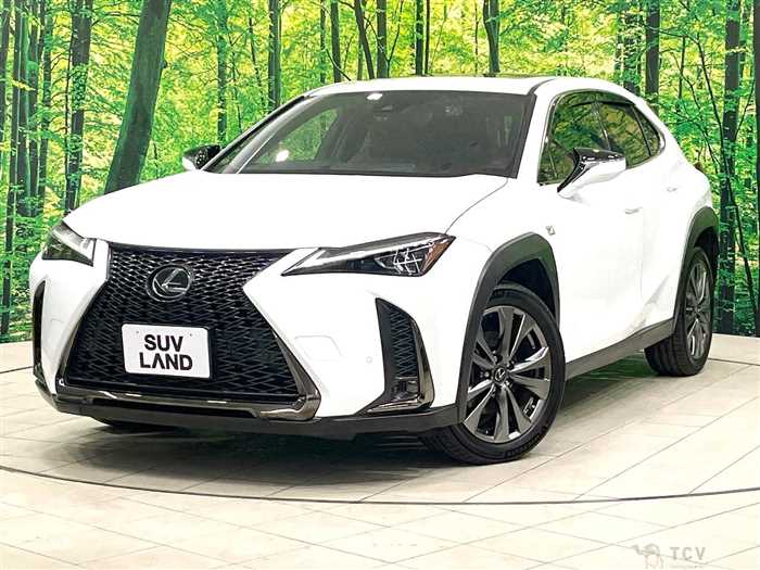 2018 Lexus Other