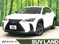 2018 Lexus Other