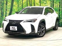 2018 Lexus Other