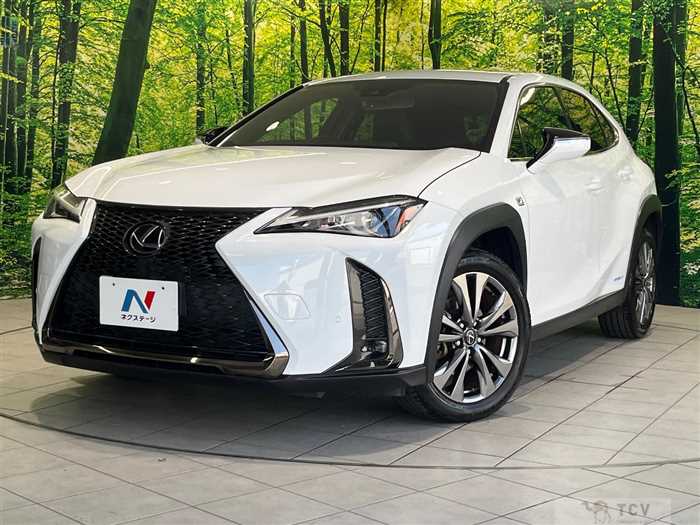 2019 Lexus Other