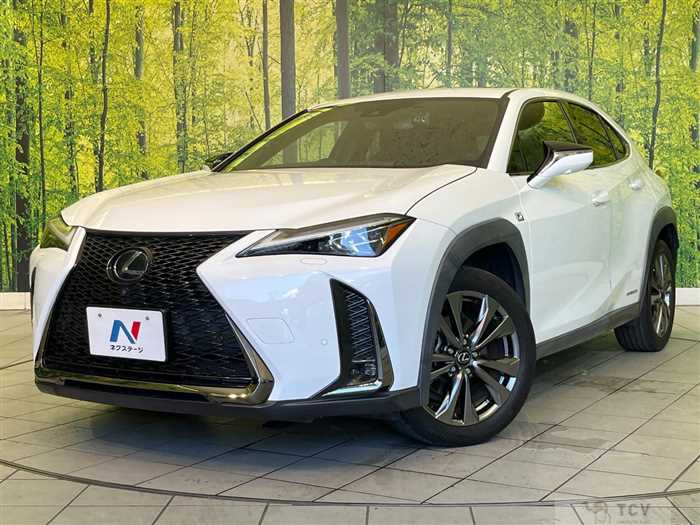 2020 Lexus Other