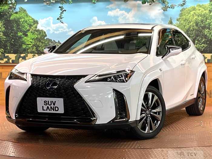 2021 Lexus Other