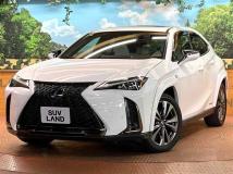 2021 Lexus Other