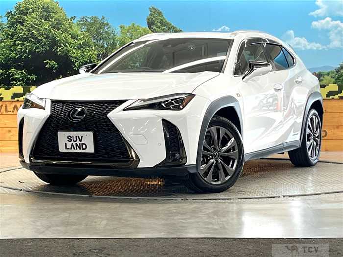 2021 Lexus Other