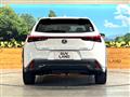 2021 Lexus Other