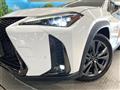2021 Lexus Other