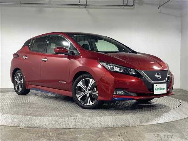 2017 Nissan Leaf