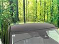 2019 Nissan DAYZ