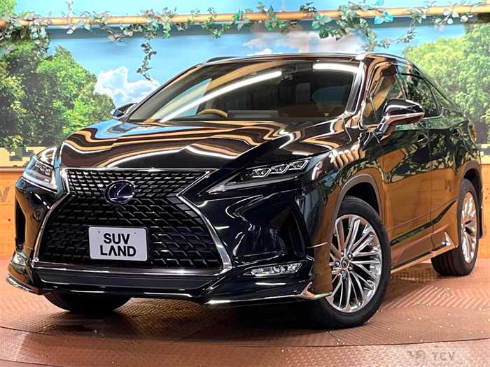 2020 Lexus RX