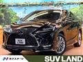 2020 Lexus RX