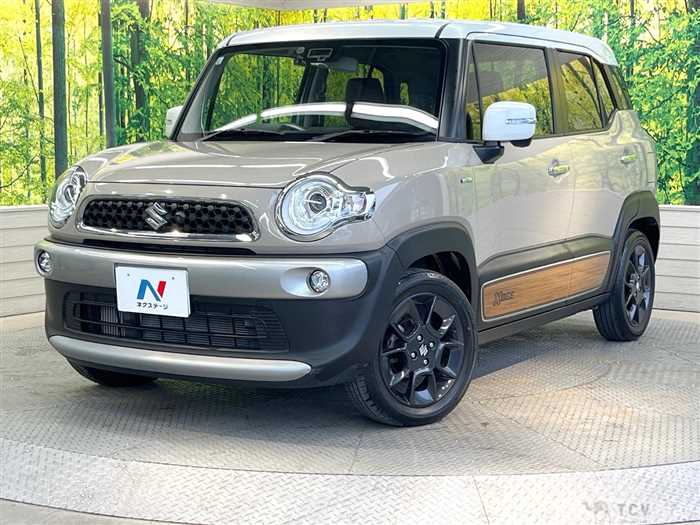 2019 Suzuki Suzuki Others