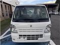2020 Suzuki Carry Truck