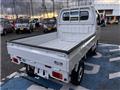2020 Suzuki Carry Truck