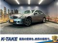 2010 Nissan Skyline