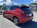 2021 Nissan Leaf