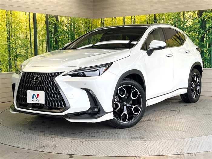 2023 Lexus NX