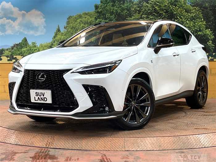 2024 Lexus NX